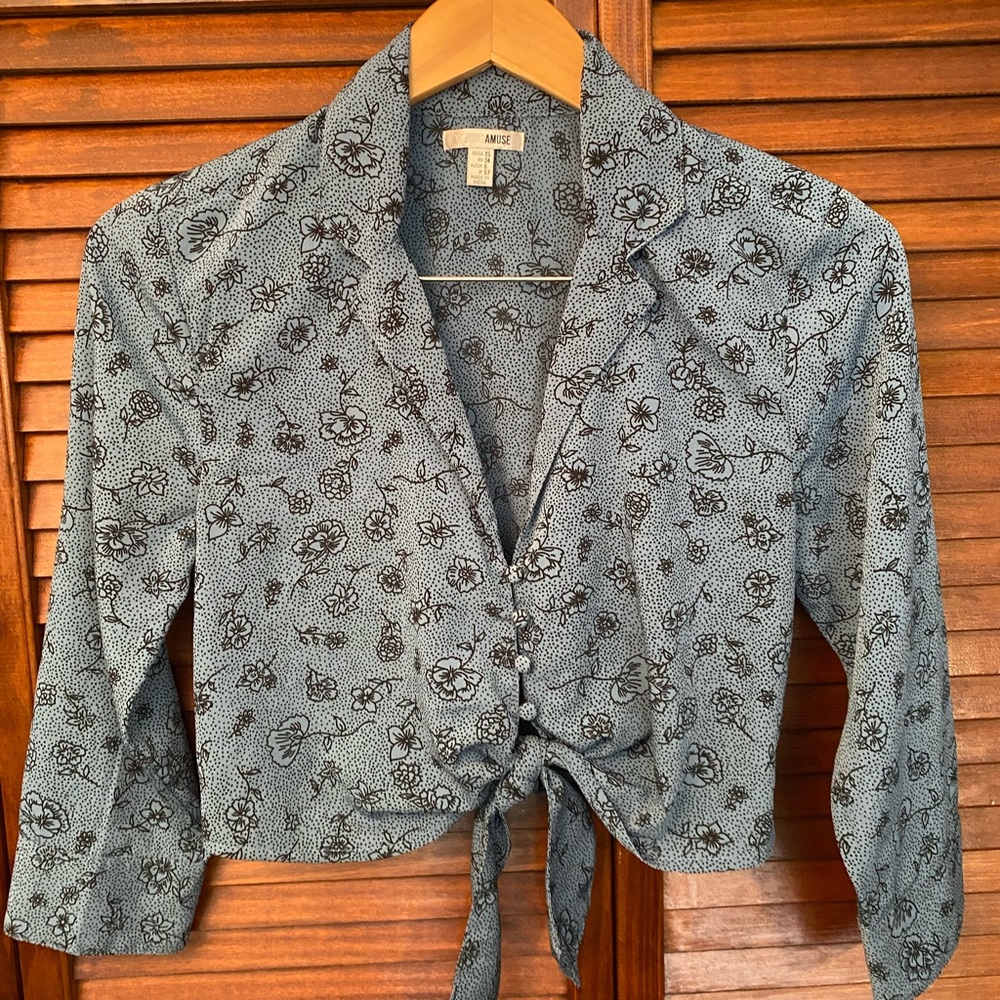 Amuse crop shirt
